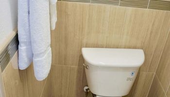 The image shows a small bathroom with a toilet, white towels hanging on a rack, a trash bin, and toilet paper.